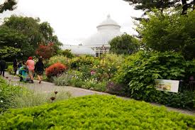 new york botanical garden reopens today
