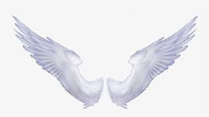 Are you looking for wing angel design images templates psd or png vectors files? Realistic Angel Wings Png Images Free Transparent Realistic Angel Wings Download Kindpng