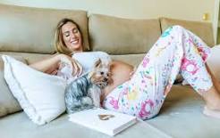 why-do-dogs-lay-on-pregnant-bellies