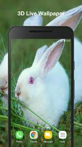 Cute Bunny Live Wallpaper for Android ...
