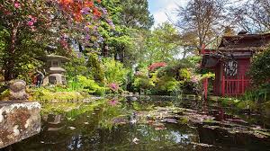 The Japanese Garden Compton Acres