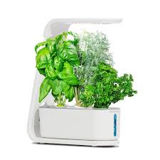 aerogarden sprout with gourmet herbs