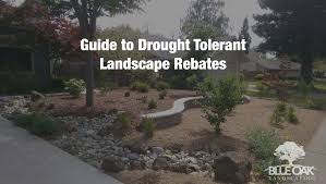 Drought Tolerant Landscape Rebates
