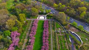 a soothing tour of the brooklyn botanic