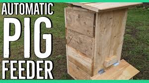 how to build an automatic pig feeder