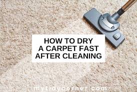 how to dry a carpet fast after cleaning