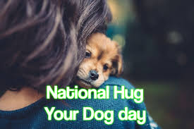National hot dog day is always the third wednesday in july. National Hug Your Dog Day 2022 When Where And Why It Is Celebrated