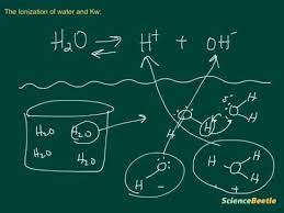 The Self Ionization Of Water And Kw