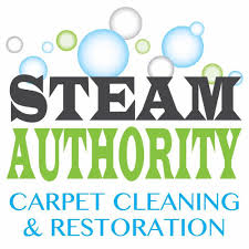 top 10 best carpet cleaners in