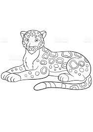 printable jaguar coloring sheet for kids