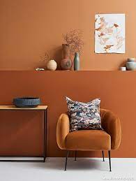 Terracotta Colour Trends Cosiness