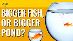 bigger fish or bigger pond freakonomics