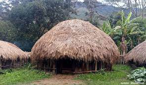 Salah satu dari ratusan rumah adat yang memiliki. Rumah Adat Papua Honai Yang Penuh Dengan Keunikan