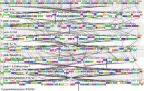 Image result for human genome creative commons