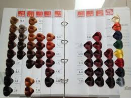 China 64 Colors Kolors Hair Color Chart For Salon China