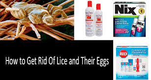 how to get rid of lice best proven