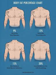Bony To Beastly The Ectomorphs Guide To Body Fat Percentage
