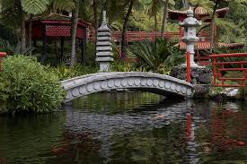 Japanese Garden Bridge Pond