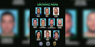 miami crime ring suspects stalked rich