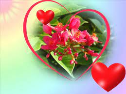 На този ден се подаряват бели или червени рози, като първите са символ на искрената любов, а вторите на страстната обич. Valentinki Lyubovni Kartichki Za Sv Valentin Denya Na Vlyubenite Shastliv Zhivot
