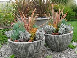 Container Garden Tips With Bob Hyland