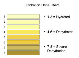 Urine Hydration Chart Album On Imgur