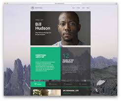    Creative Resume Website Templates to Improve Your Online Presence    free web resume template