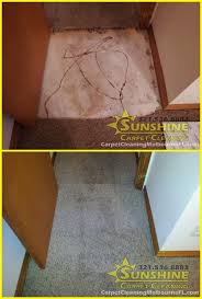 sunshine carpet cleaning reviews