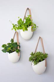 Ceramic Wall Planters By Light Ladder