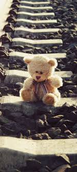 teddy bear wallpaper 4k brown railway