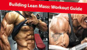 best lean muscle workout plan