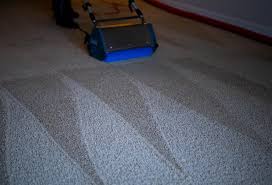 local professional carpet cleaning
