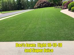 get thick green lawn spring lawn care
