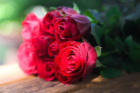 bouquet of rose on brown wooden surface