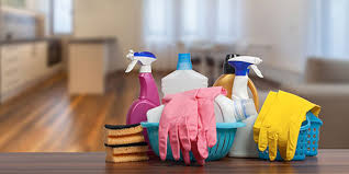 House Cleaning Insurance Insurance Canopy