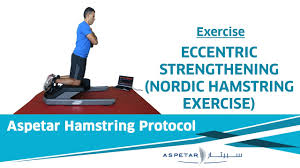 exercises eccentric nordic hamstring