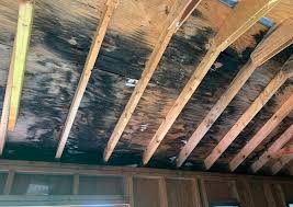 removing mold on wooden surfaces