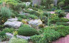 Rock Garden Ideas For Landscaping