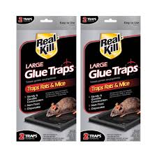 real kill large rat and mice glue traps
