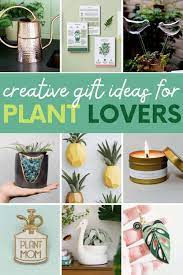 29 creative gifts for plant for
