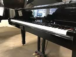 How much does it actually cost to have a piano tuned? Piano Tuning Melbourne Gumtree Australia Free Local Classifieds