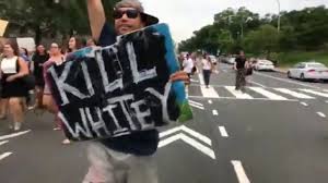 Image result for antifa protest signs