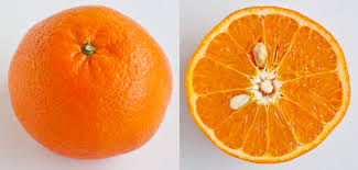 A Guide To Mandarin Oranges 11 Types Of Citrus For The