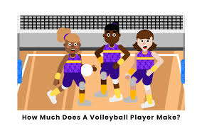 how much does a volleyball player make