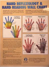 Hand Reflexology Hand Reading Wall Chart