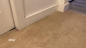 review tineco carpet one carpet