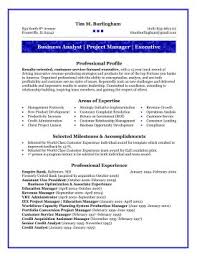 Systems Analyst CV   CTgoodjobs powered by Career Times Template net