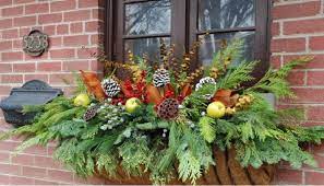 Festive Ideas For Winter Container Gardens