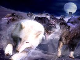 Fantasy wolf wallpapers we have about (327) wallpapers in (1/11) pages. Wolf Fantasy Wallpapers Group 82