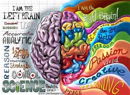 Curiosidades sobre el cerebro